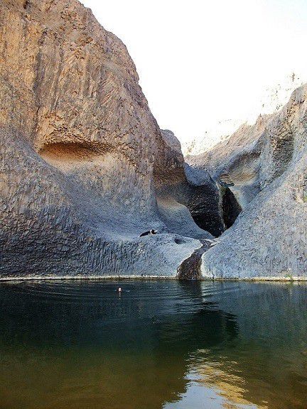 1. Oasis Timia di Nigeria