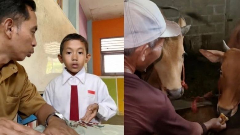 Seorang Guru Debat dengan Ucapan Murid yang Sebut Sapi Makan Martabak, Endingnya Langsung Dibuktikan