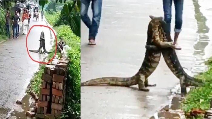 Mereka bermesraan tapi boong~