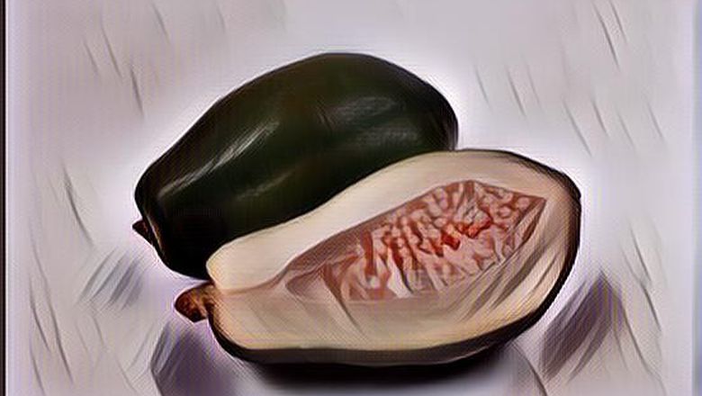 Manfaat Pepaya Muda Buat Di Konsumsi, Aman dan Berkhasiat Lagi