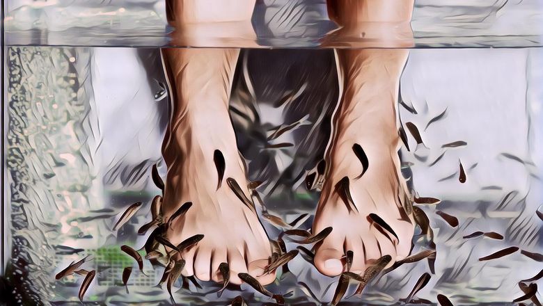 Viral Ikan Menjauh saat Pemuda Ini Mau Terapi, Netizen: Ikan Aja Menjauh Apalagi Cewek?