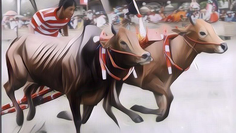 Kamu Harus Tahu, Kalau Pulau Madura Pernah Jadi Negara Sendiri Setelah Indonesia Merdeka