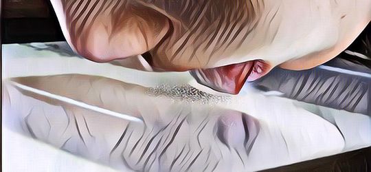 Canggih! Layar Televisi Ini Bisa Dijilat dan Memiliki Aneka Rasa Seperti Makanan