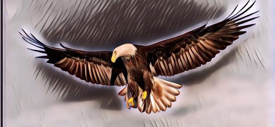 Peneliti Rusia Kehabisan Dana karena Dapat SMS dari Burung Elang