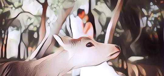 Hewan Rese di Foto Prewed, Kamu Bakal Ngakak Dah