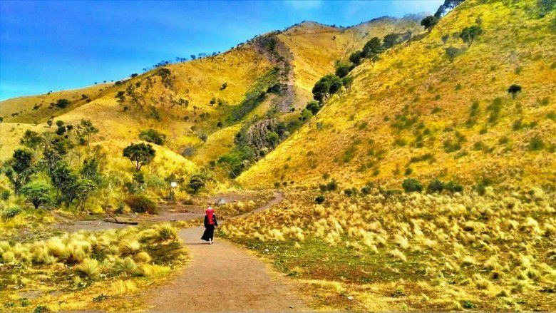 4. Savana Gunung Merbabu