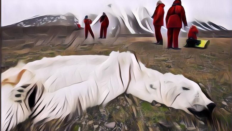 Efek Pemanasan Global Gak Main-Main, Beruang Kutub Terancam Punah Akibat Es di Arktika Terus Mencair