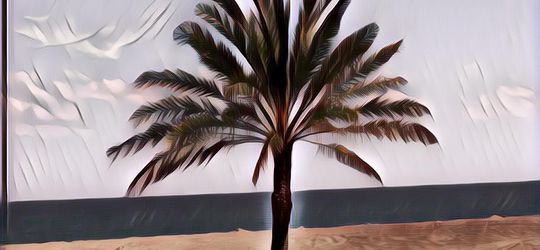 Kampung Kurma Digugat Konsumen, Investasi Bodong Berkedok Syariah yang Lebih Dekat ke Perjudian