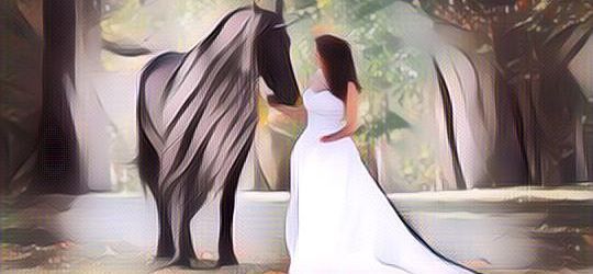 Ini Kuda Paling Tampan Sedunia karena Digilai Kaum Hawa, Penasaran?