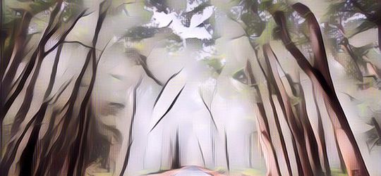 Larangan di Alas Purwo, Hutan Paling Angker di Pulau Jawa