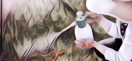 Beberapa Resep Membuat Pestisida Alami Rumahan, Kamu yang Hobi Berkebun Wajib Tahu!