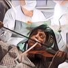 Jalani Operasi, Perempuan Ini Tetep Main Biola Biar Kemampuan Musiknya Gak Hilang