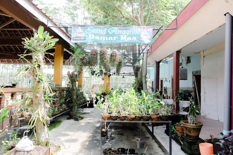 3. Resto dan Resor Damar Mas