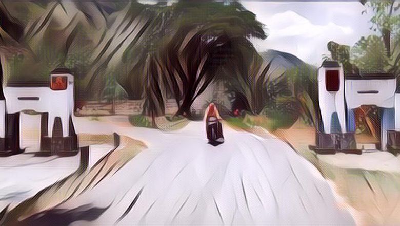 Penampakan Tugu Tapal Batas Yang Jadi Pembatas Keraton Yogyakarta Dan Surakarta, Terletak Di Dekat Hutan Cenderung Gak Terawat