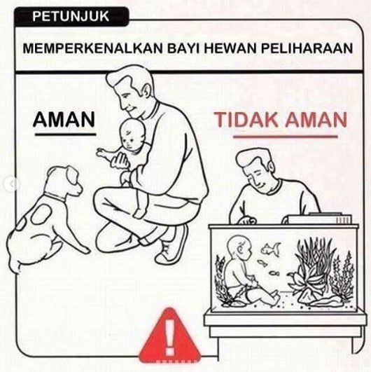 Gambar lucu terbaru 2019 bikin ngakak (Petunjuk Bayi Ngasal)