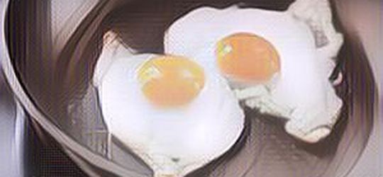 Apakah Makan Telur Setiap Hari Tidak Baik untuk Tubuh?