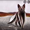 Wow, Penguasa Dubai Berjanji Akan Beri Hadiah Rp 20 Juta/Orang Bagi Yang Menyelamatkan Kucing