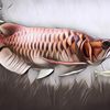 Kini Dipercaya Bawa Hoki, Ikan Arwana Merah Dulunya Pernah Jadi Ikan Asin Seharga Rp1.000 per Kilogram!