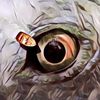 Jarang Orang Tahu, Makhluk Ini Lindungi Manusia Dari Virus Berbahaya Di Lautan