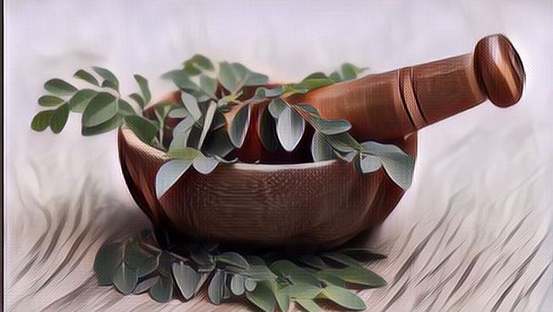 Ngalah-Ngalahin Sayur Bayam! Berikut Sederet Kandungan Nutrisi Daun Kelor dan Manfaatnya untuk Kesehatan