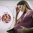Kamu Wajib Tahu, Ibu Hamil yang Menderita Anemia Bisa Berpengaruh pada Perkembangan Otak Bayi