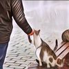 7 Makna Spiritual di Balik Kucing Liar Datang Mendekatimu