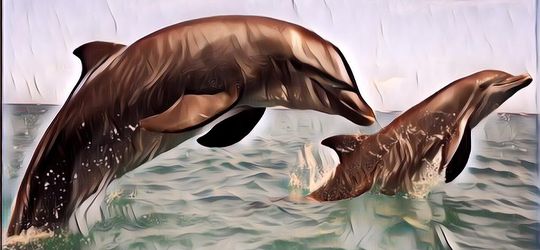 Apakah Lumba-Lumba Hewan yang Paling Cerdas? Ternyata Begini Hasil Penelitiannya!