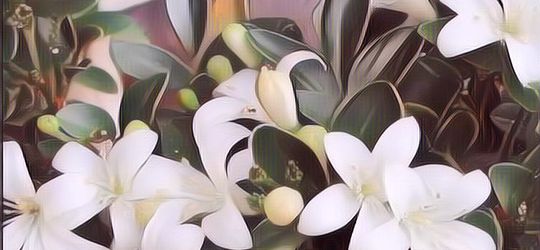 6 Tanaman Penangkal Santet, Bisa Banget Ditanam di Rumah