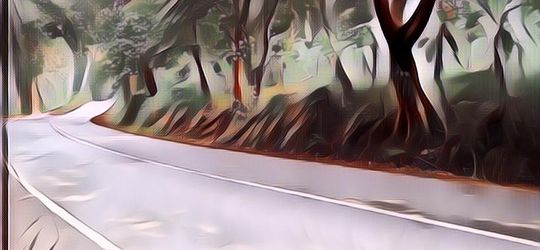 HOROR! Mitos Tentang Alas Mantingan, Hutan Angker di Pulau Jawa