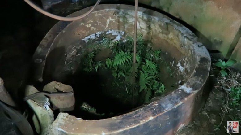 2. Terdapat sumur tua yang angker tempatnya mustika ular