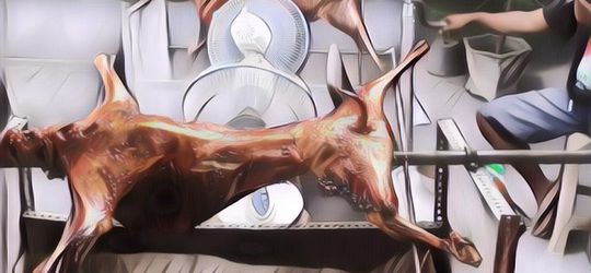 Takut Makan Olahan Kambing di Hari Raya Kurban? Santai, Ada Penangkalnya Kok