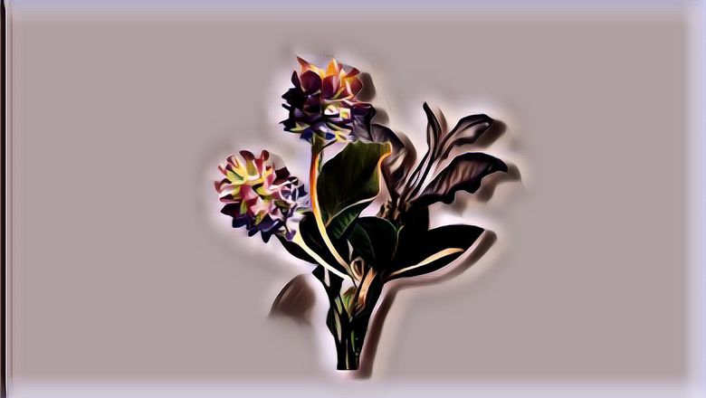 Skincare Bakuchiol Lebih Lembut dari Retinol, Tapi Tidak Sustainable? Yuk Simak Ulasannya Girsl!