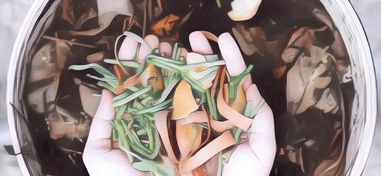 Gak Sulit Kok! Begini Cara Mengompos Sampah Organik Sendiri di Rumah