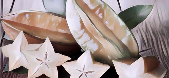 Khasiat Buah Belimbing Buat Kesehatan, Luar Biasa!