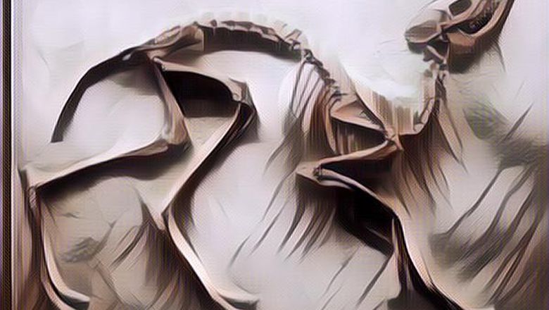 Hewan-Hewan Prasejarah Ini Bikin Sejarah, Masih Hidup Sampe Sekarang Gengs!