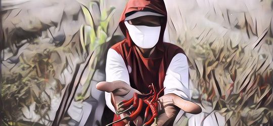 Lulusan Engineer, Pria Ini Malah Kaya Usai Putuskan Jadi Petani Cabai