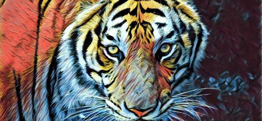 Bonita Dipercayai oleh Beberapa Warga Sebagai Siluman Harimau