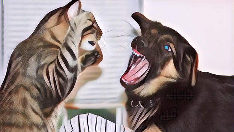 Deretan Hewan Peliharaan Pemberani, Mereka Berhasil Selamatkan Nyawa Majikannya