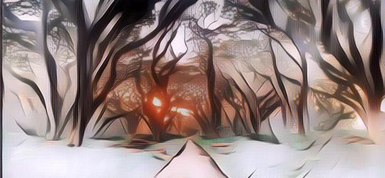 Berkunjung ke Hutan Lord of The Rings di Banyuwangi, Serasa Masuk Dunia Magis!