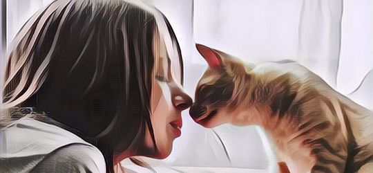 Kura-Kura, Kuda, dan Hewan-Hewan yang Dianggap Bawa Keberuntungan