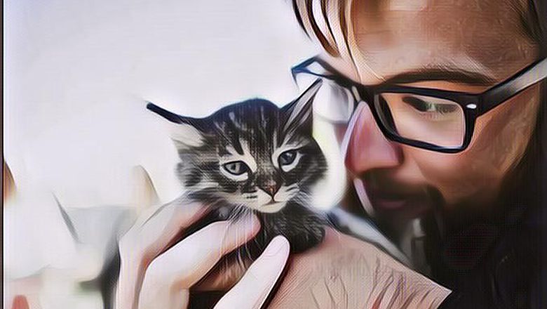 Pecinta Kucing, Tanda Kamu Introvert Berdasar Penelitian