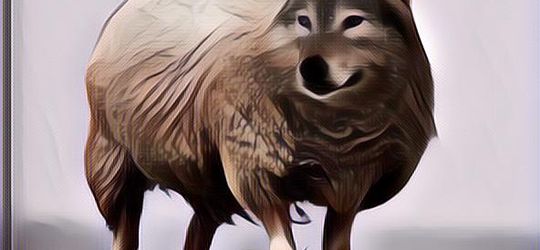 Kata-Kata Sahabat Munafik: Cocok Banget Buat Nyindir~