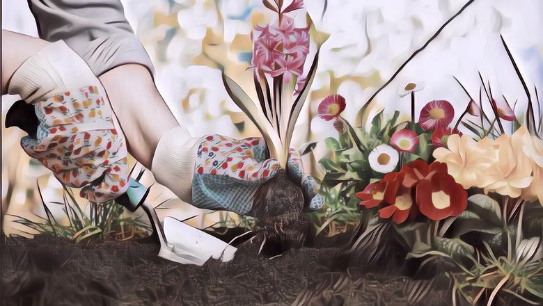 Manfaat Berkebun, Salah Satunya Meningkatkan Kepercayaan Diri