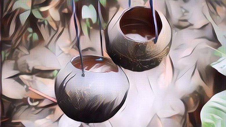 Deretan Minuman Tradisional Beralkohol Khas Indonesia