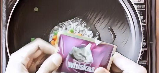 Chef Ini Bikin Nasi Goreng dengan Makanan Kucing Sebagai Bahan Campurannya