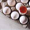 Beda Telur Omega 3, Telur Ayam Kampung, dan Telur Ayam Biasa, Mana yang Lebih Baik Dikonsumsi?