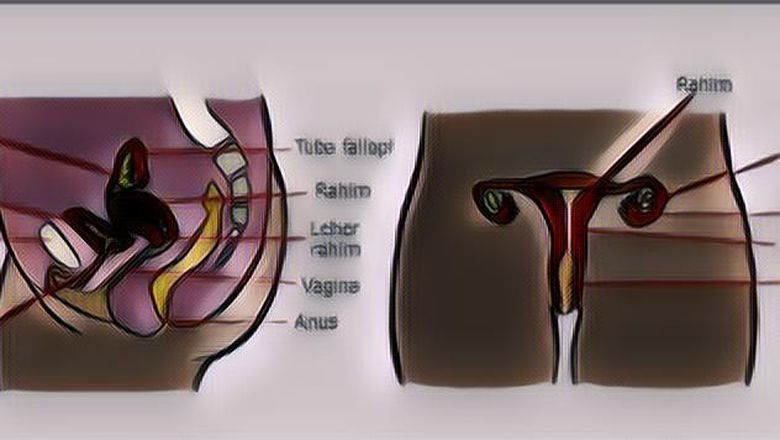 Tips Menjaga Kesehatan Reproduksi Remaja Agar Terbebas dari Penyakit