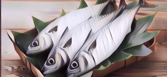 Selain Salmon, 5 Jenis Ikan Ini Bergizi Tinggi dan Bagus Dikonsumsi Rutin Lho Ges!