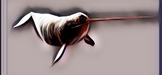 Hewan yang Hidup di Air Laut Ini Ternyata Mamalia