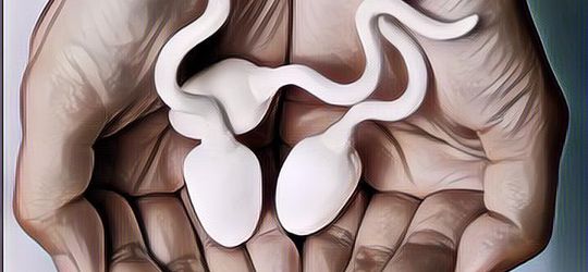 Apa Aja Sih Jenis Makanan yang Bisa Menambah Sperma?